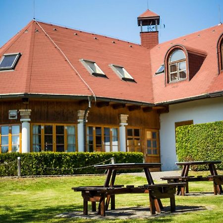 Отель Penzion Terasa, Bed & Breakfast Велке Лосины Экстерьер фото