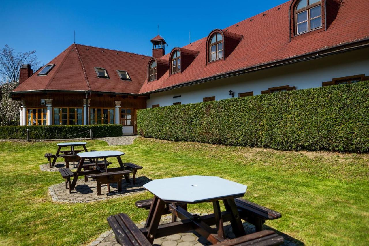 Penzion Terasa, Bed & Breakfast Велке Лосины Экстерьер фото