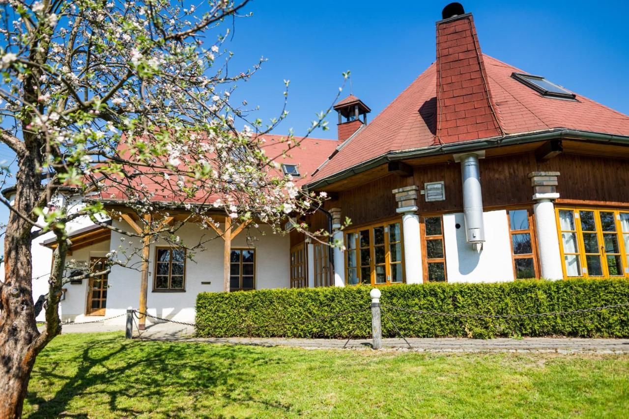 Penzion Terasa, Bed & Breakfast Велке Лосины Экстерьер фото
