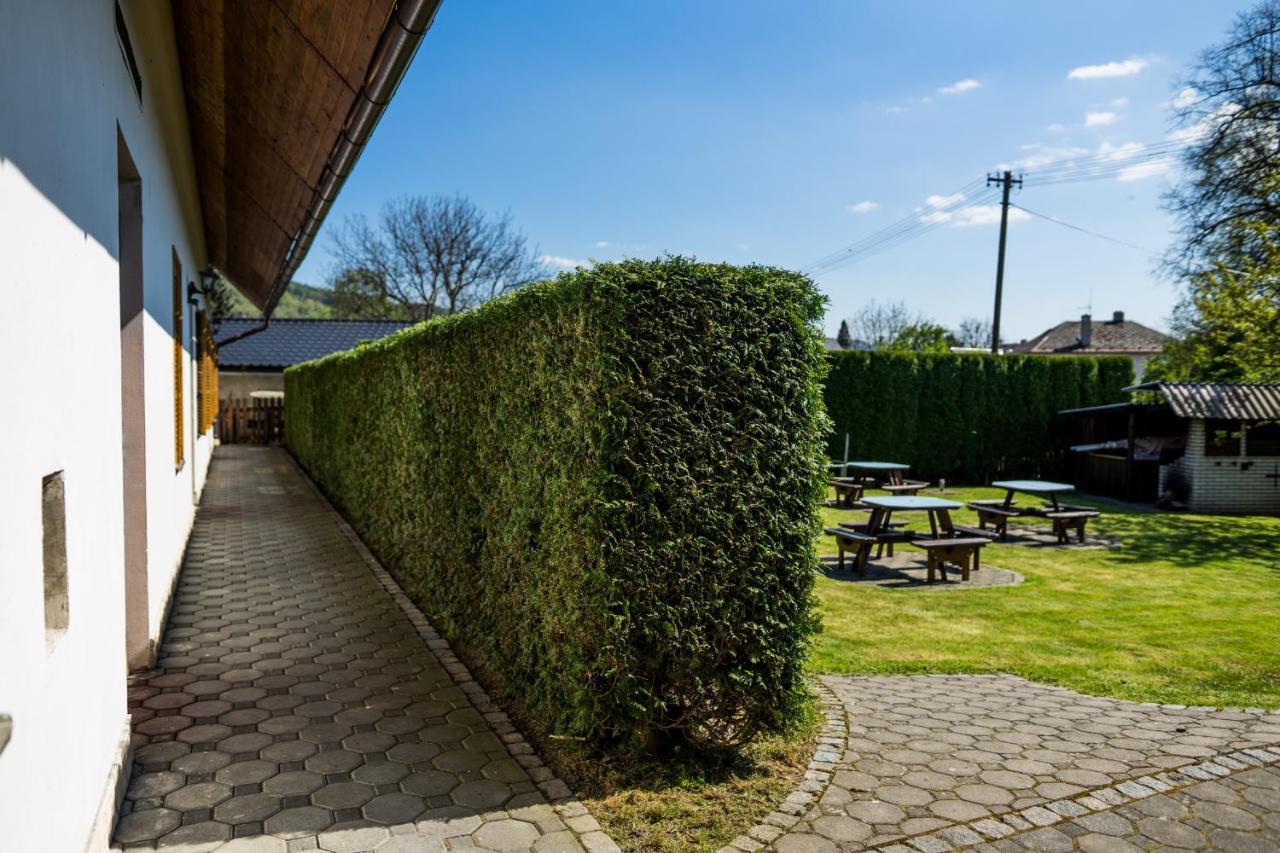 Penzion Terasa, Bed & Breakfast Велке Лосины Экстерьер фото